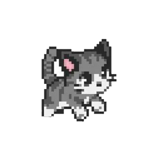 Cat Icon